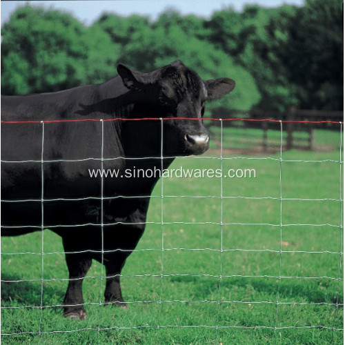 Heavy Zinc Coated Cattle Fence